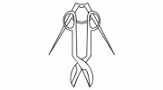 Burkhardt Sheet Metal