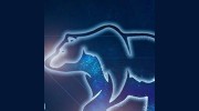 Arctic Cooling & Refrigeration