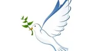 Dove Group
