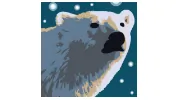 Polar Bear Air Conditioning & Heating